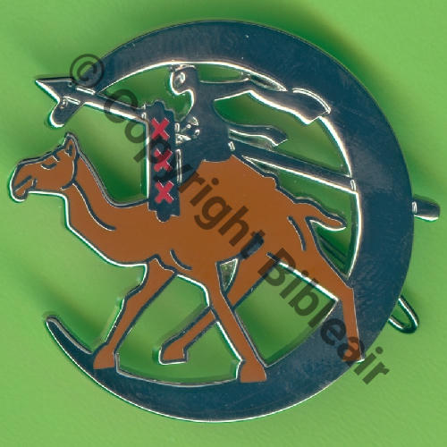 551  2021 A1482 2eDRILLE VR.551 ET.3.62 VENTOUX EVREUX  DUSEAUX Griffes et butees Dos scintillant Src.Y.GENTY 27Eur(x9) 
